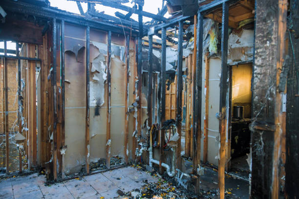 Professional Soot Cleanup technician working in Lonaconing, MD